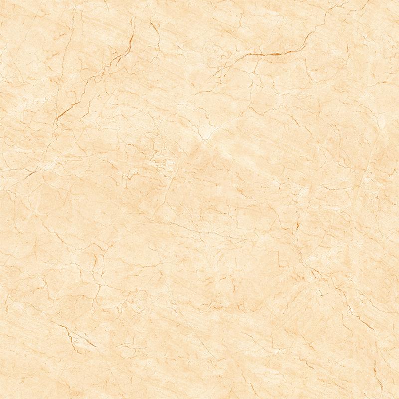 GẠCH LÁT NỀN VIGLACERA - H503
