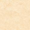 GẠCH LÁT NỀN VIGLACERA - H503